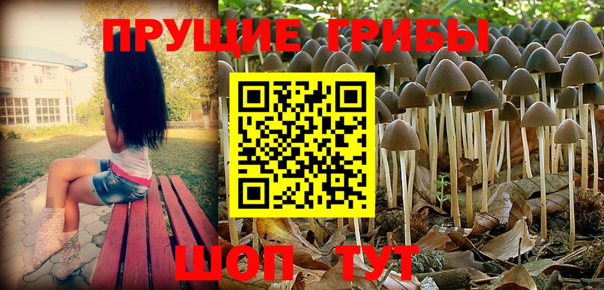 Псилоцибиновые грибы Magic Shrooms Кулебаки