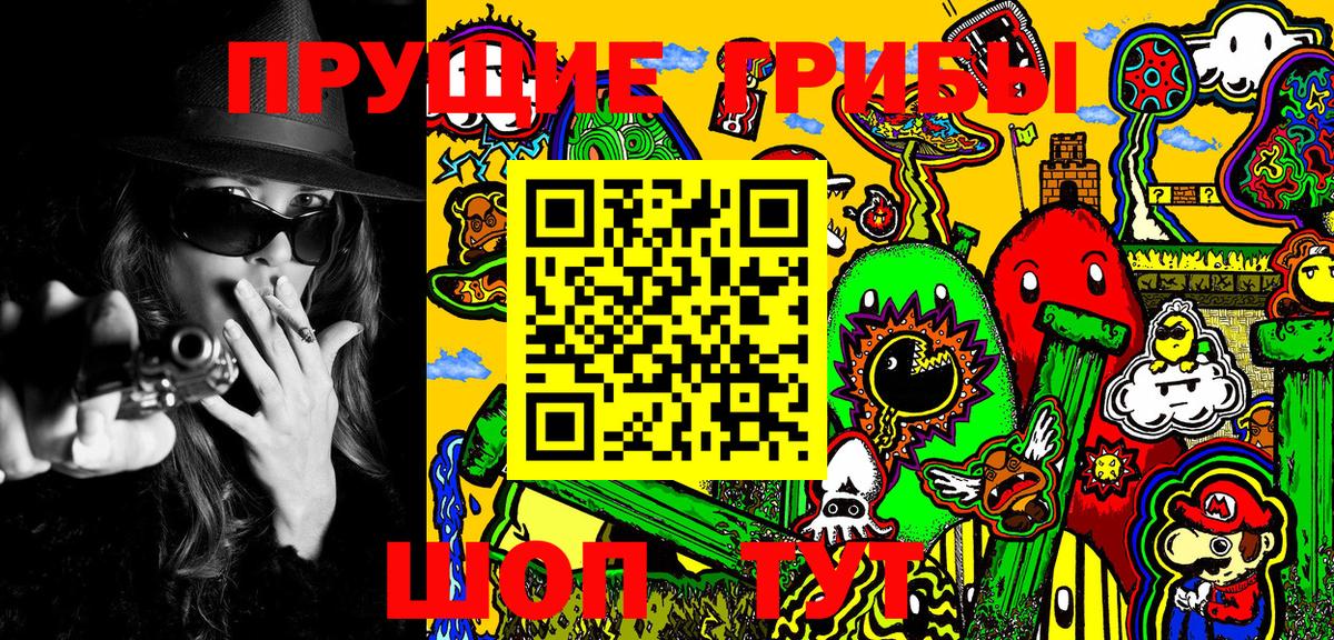 Кулебаки  Псилоцибиновые грибы MAGIC MUSHROOMS  Вход с VPN 